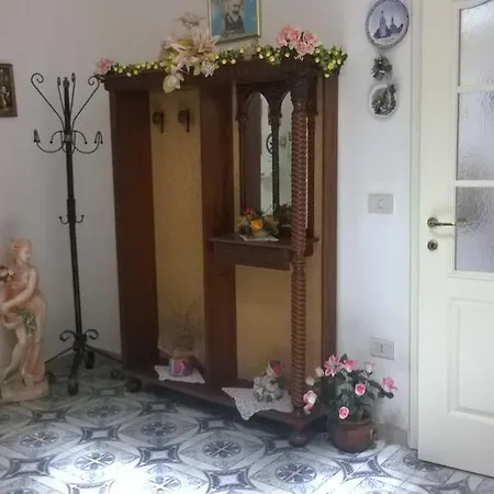 Marghi E Carol נוטו